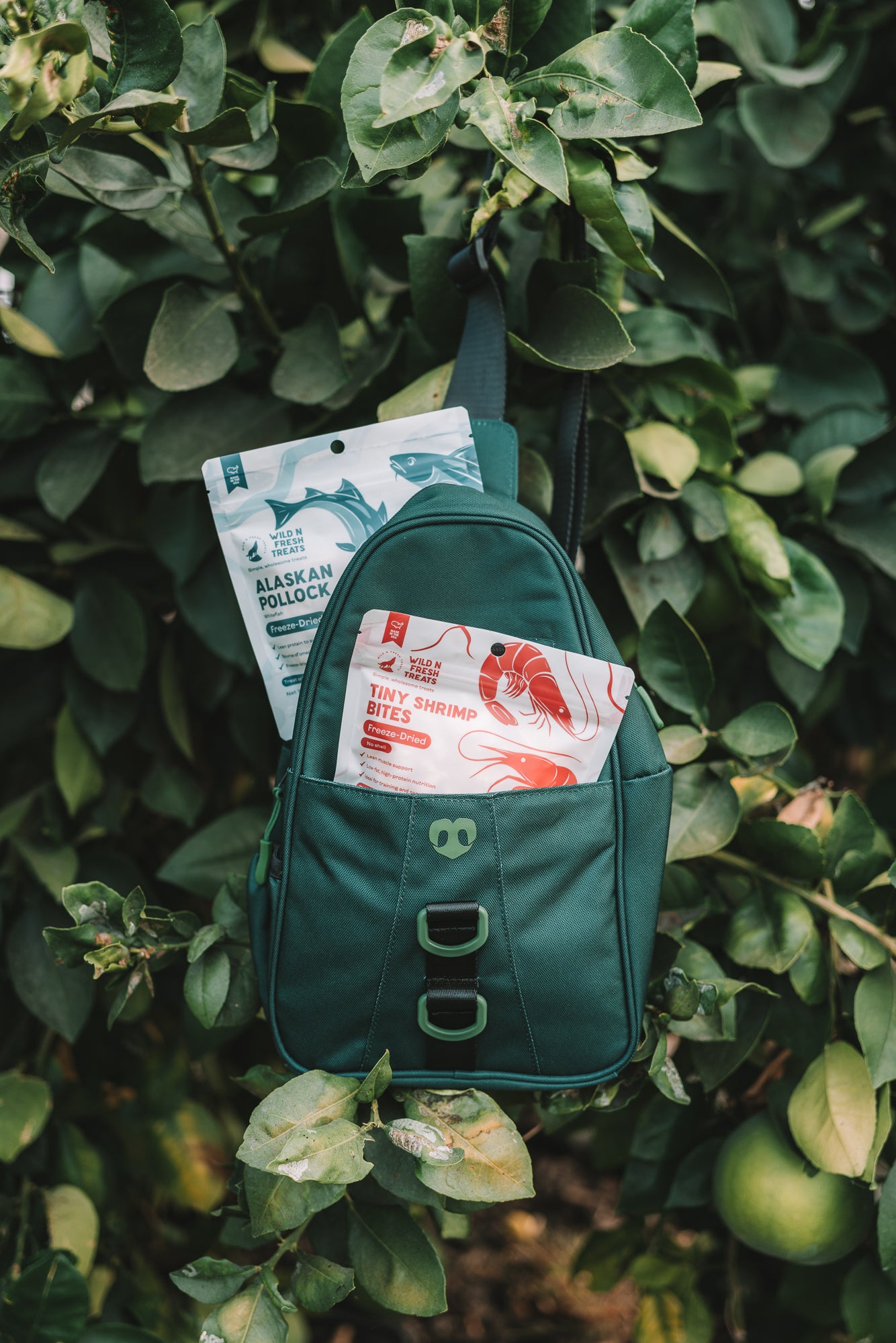 Molo Dog Walking Bag | Dog Treat & Walking Bag