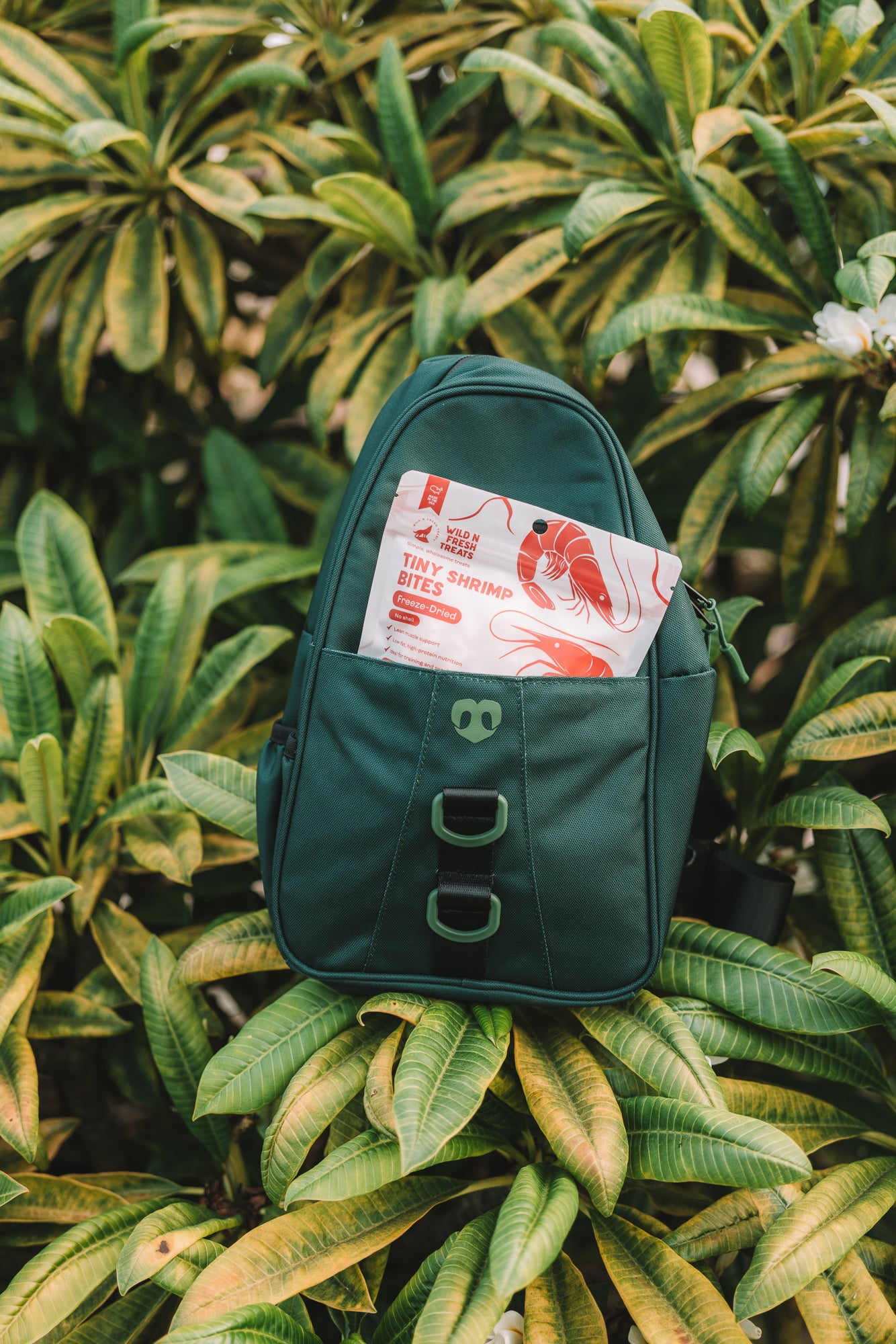 Molo Dog Walking Bag | Dog Treat & Walking Bag