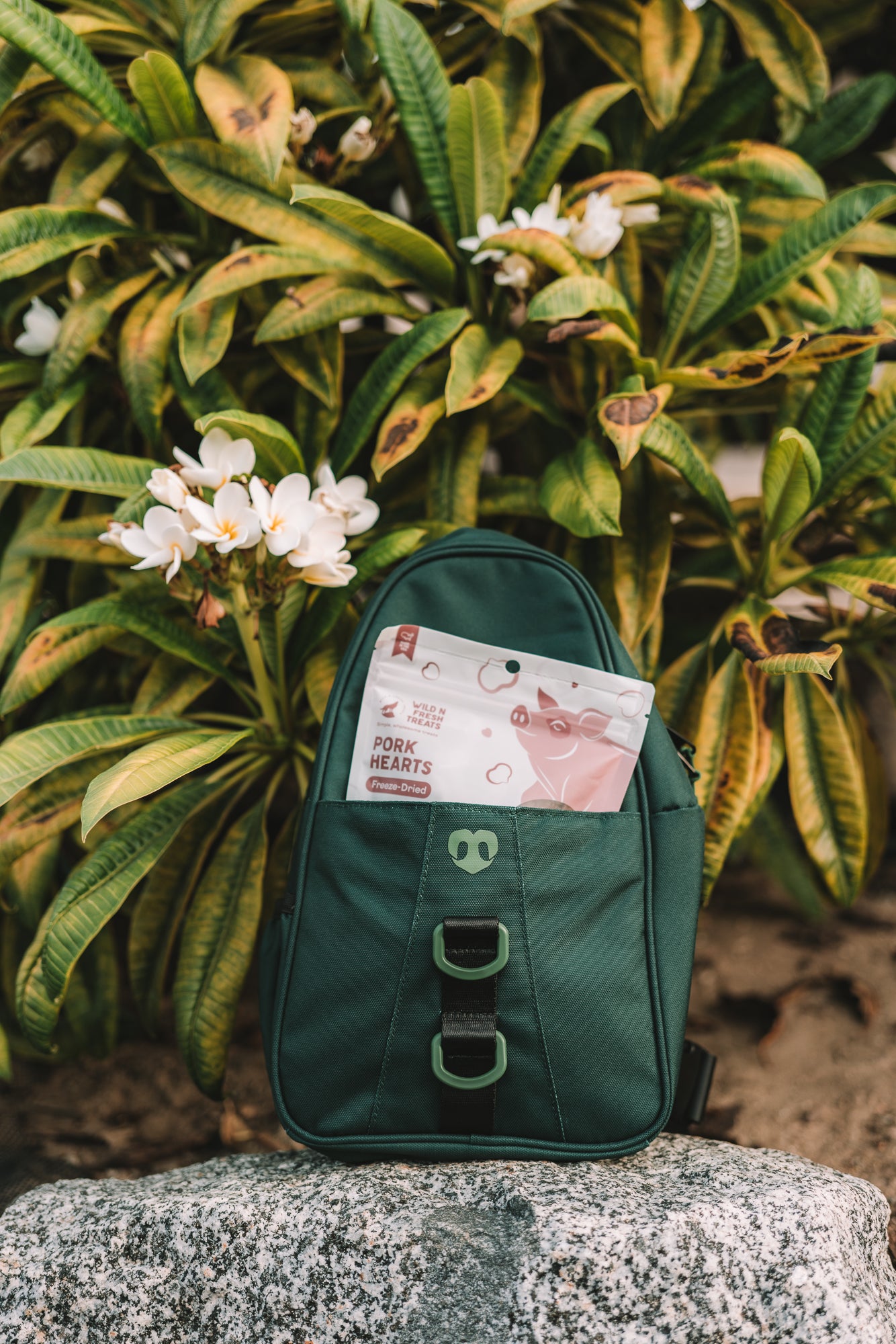 Molo Dog Walking Bag | Dog Treat & Walking Bag