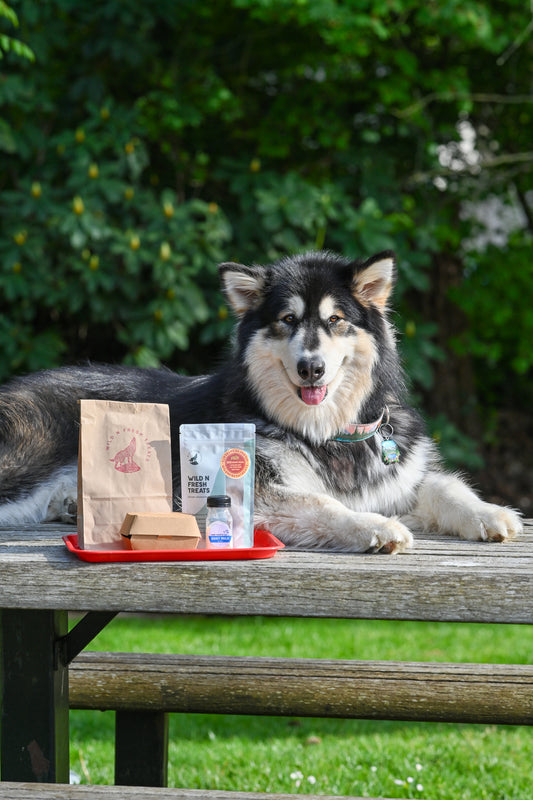 Big Woof Meal Fast Food Grab Bag