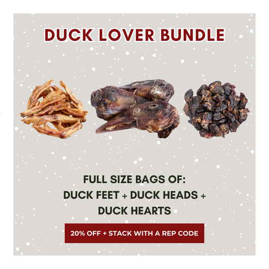 Duck Lover Bundle