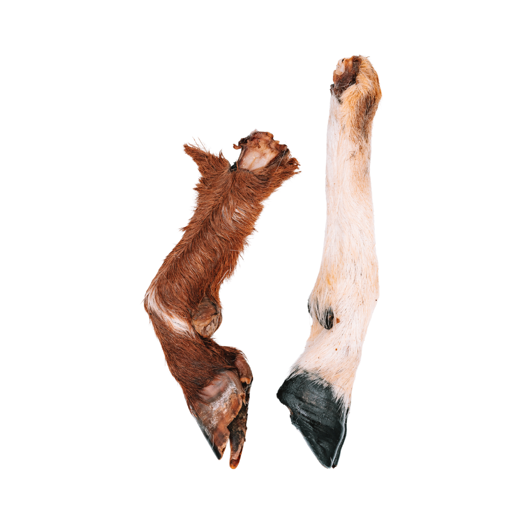 Dehydrated Whole Goat Trotters (Fur-On)