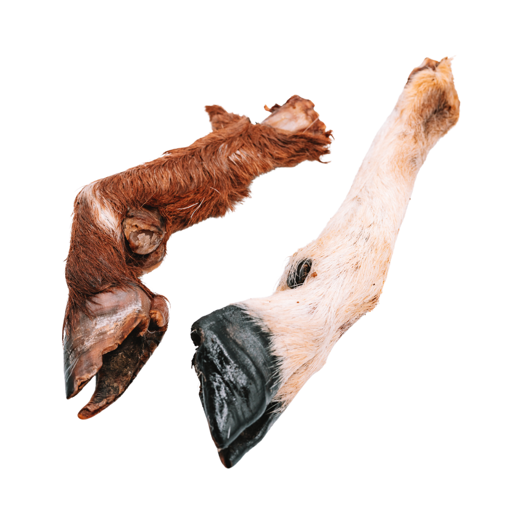 Dehydrated Whole Goat Trotters (Fur-On)