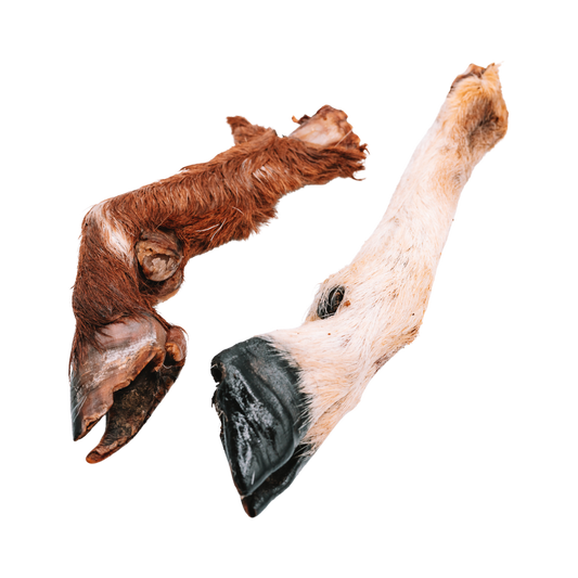 Dehydrated Whole Goat Trotters (Fur-On)