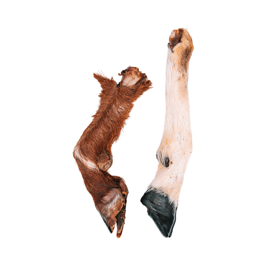 Dehydrated Whole Goat Trotters (Fur-On)