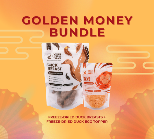 Golden Money Bundle - Lunar New Year 2026