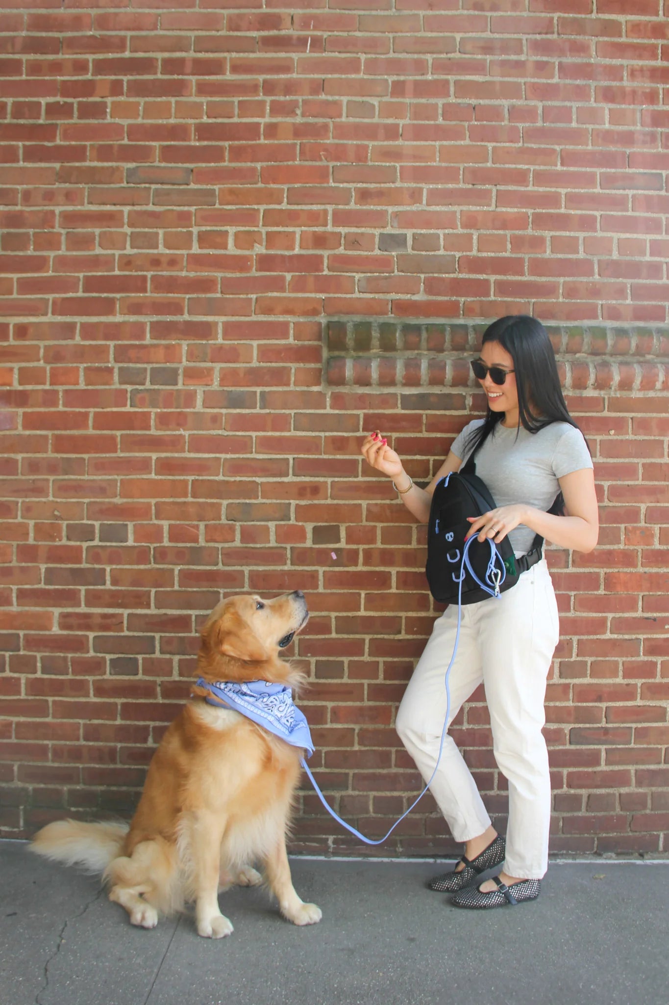 Molo Dog Walking Bag | Dog Treat & Walking Bag