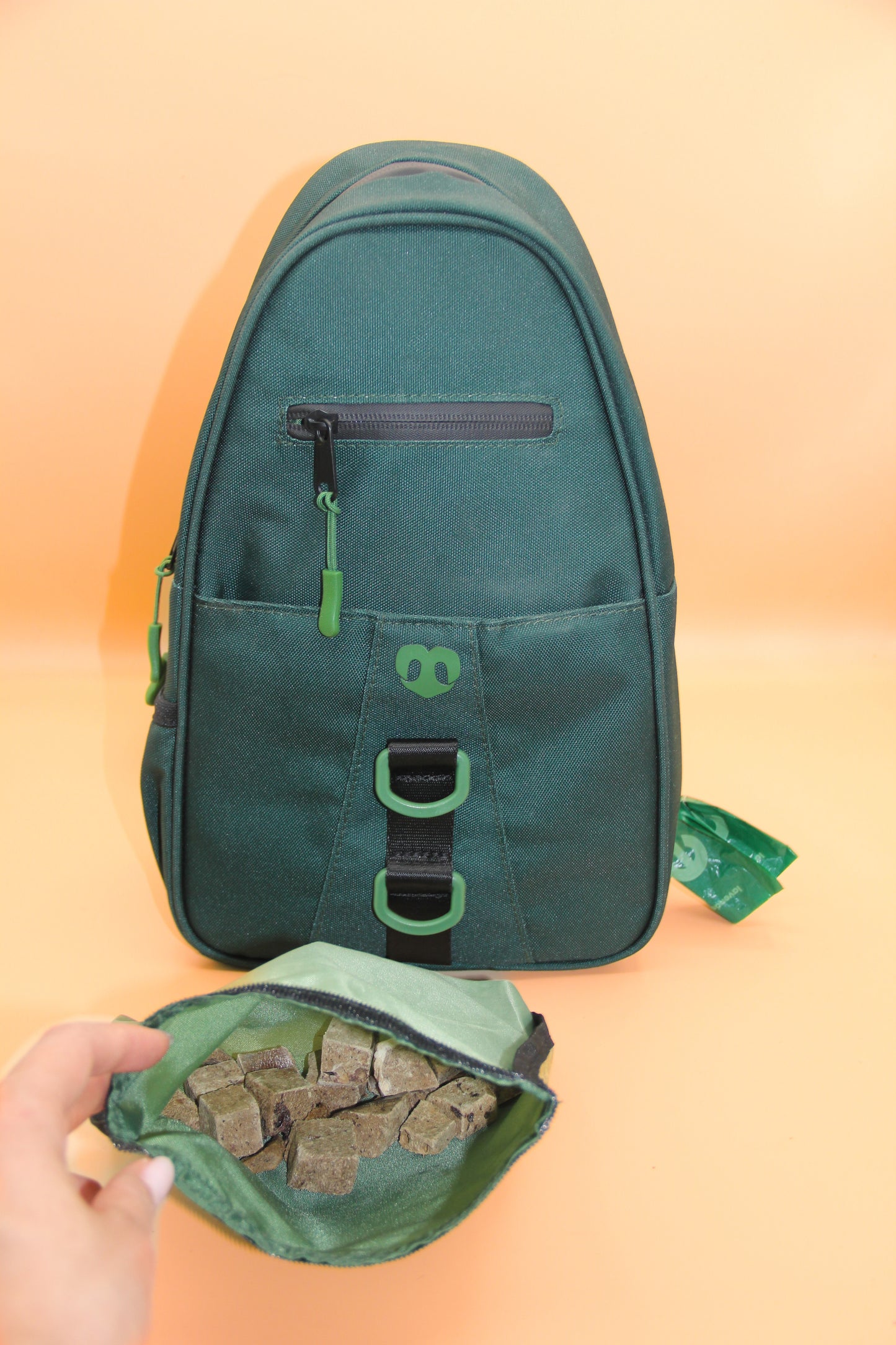 Dog walking bag with removable washable treat pouch