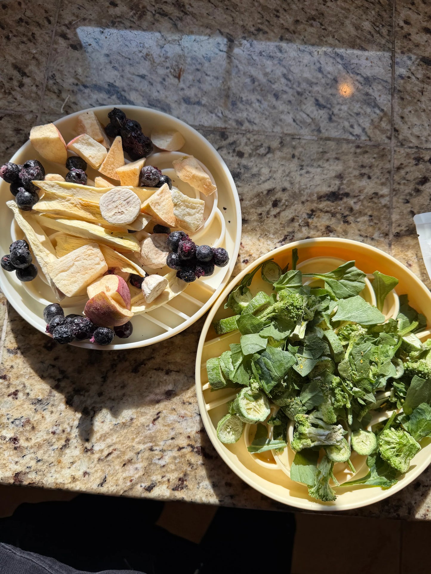 WnF x Everyday Woof Freeze-Dried Fruit Smoothie Mix