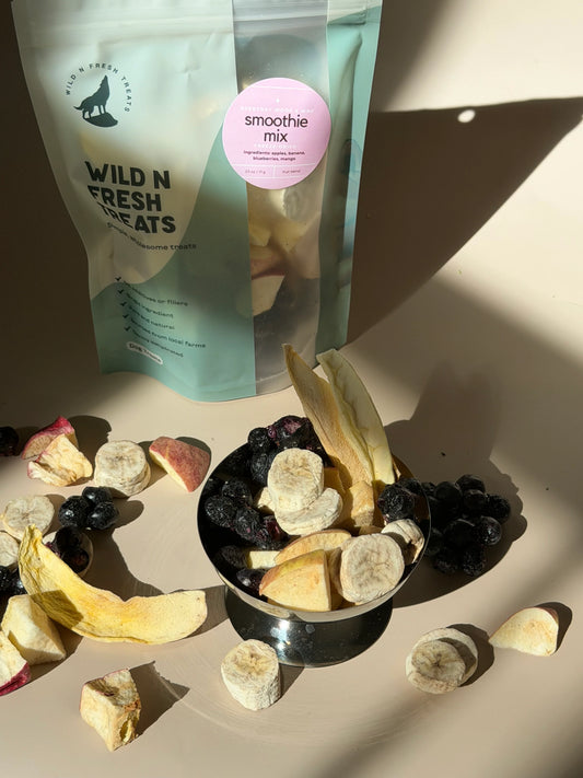 WnF x Everyday Woof Freeze-Dried Fruit Smoothie Mix