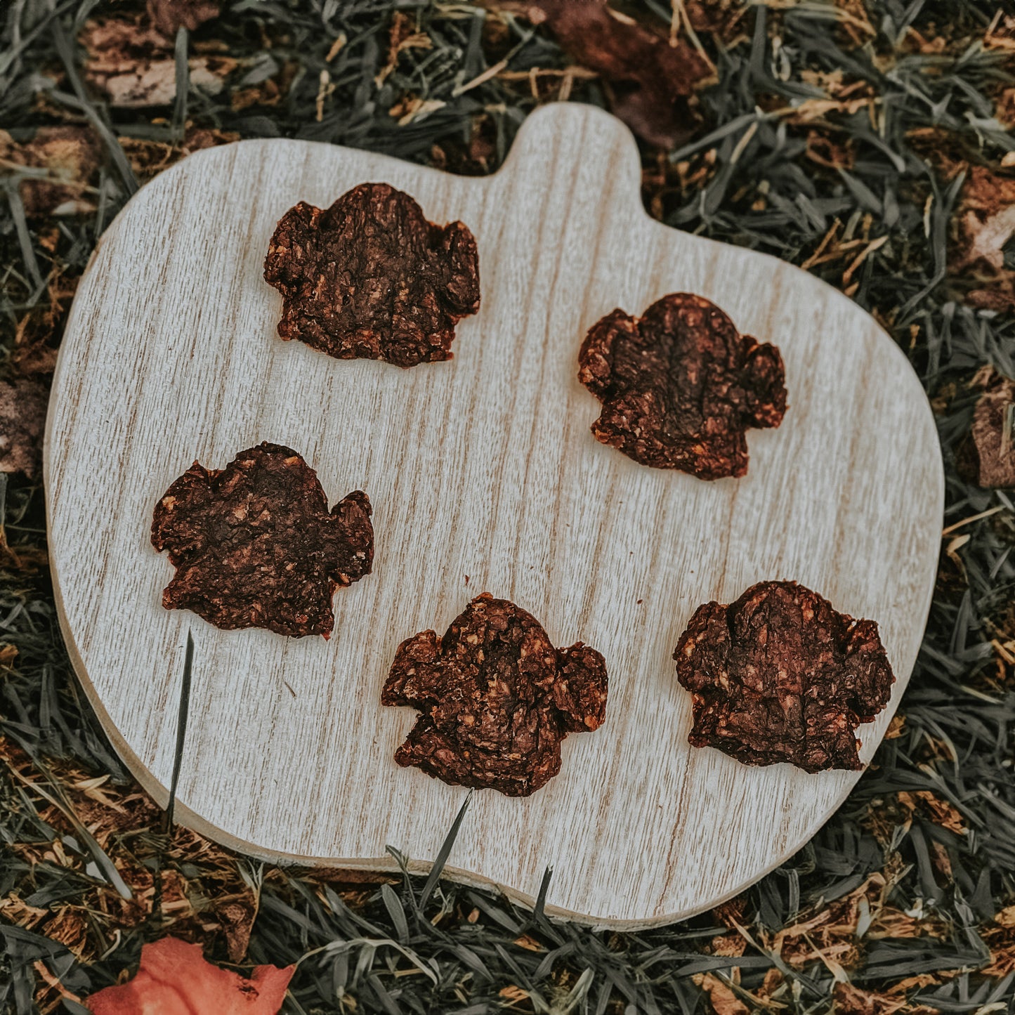 Dehydrated Spooky Bison Patties