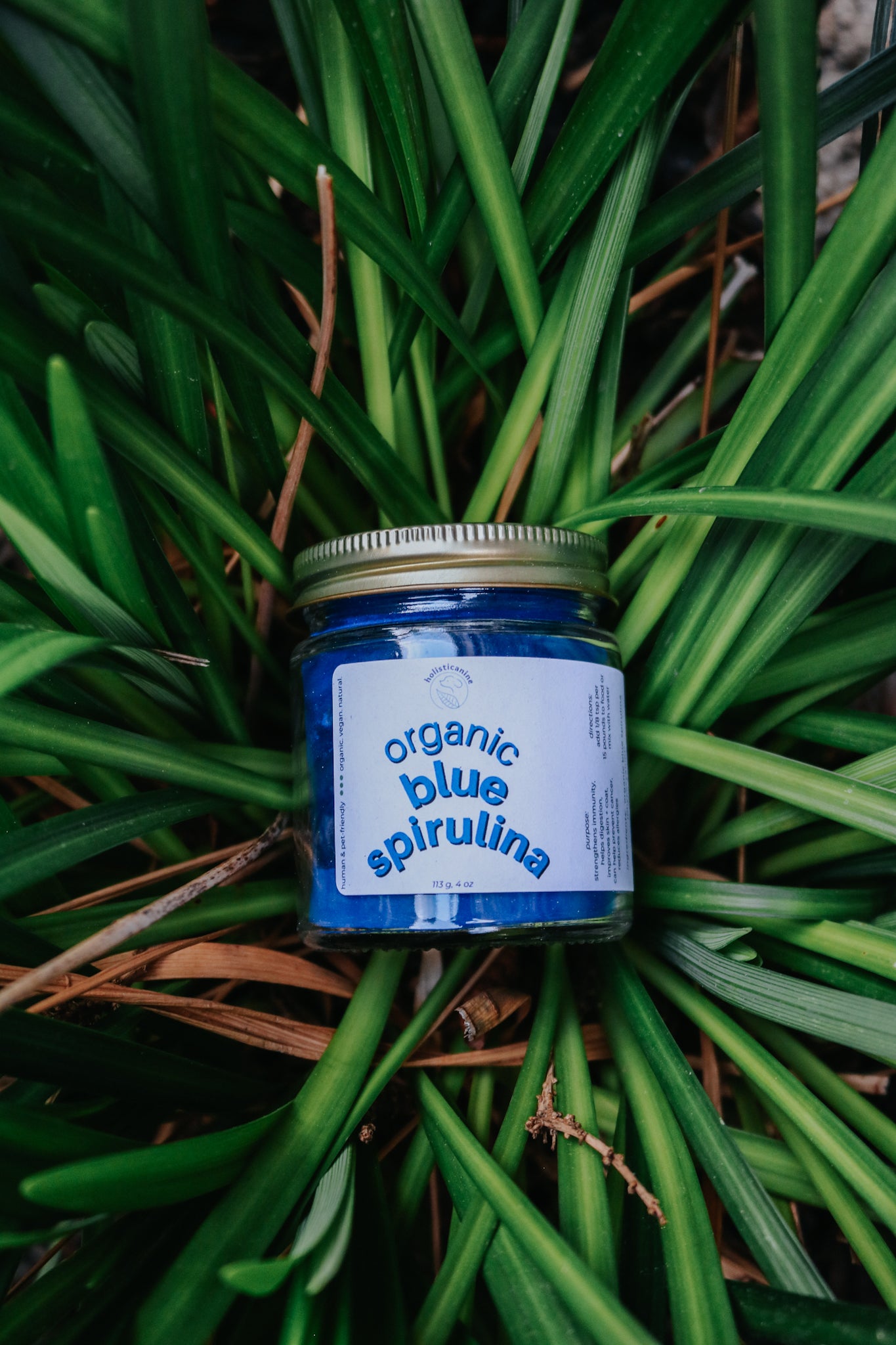 Holisticanine Organic Blue Spirulina | Allergy & Immune Support Supplement
