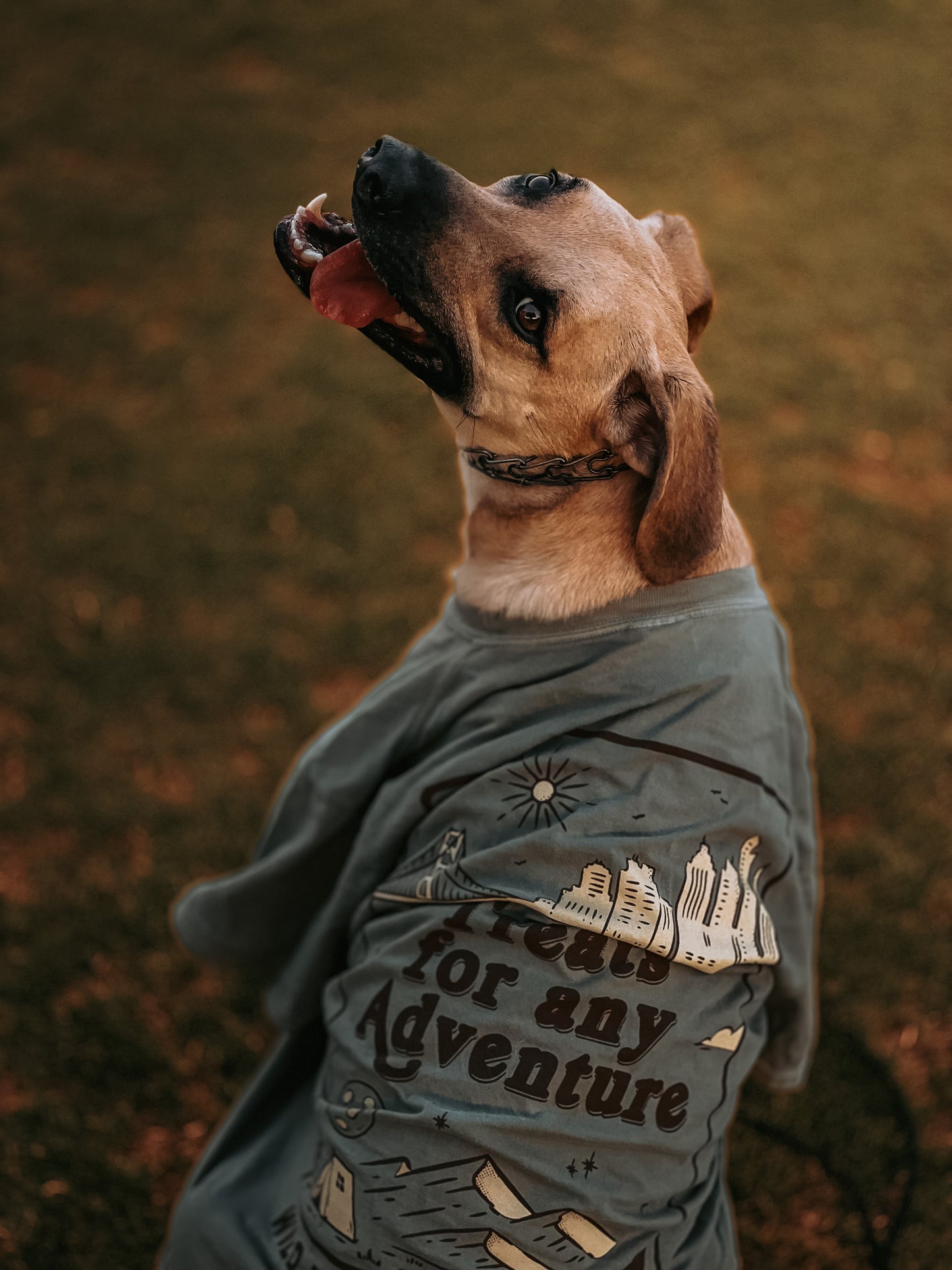 Treats For Any Adventure Tee