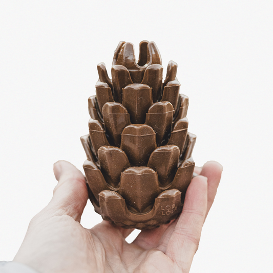 Loblolly Pinecone Puzzle Toy