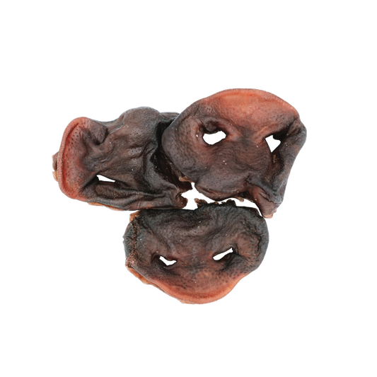 Dehydrated Pork Snouts