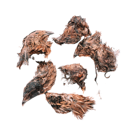 Dehydrated Quail Heads