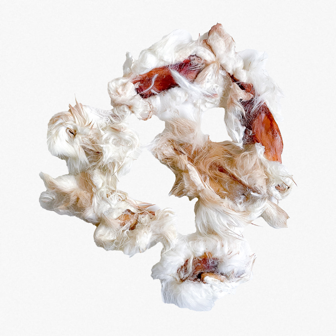 Dehydrated Rabbit Hide – Wild n Fresh Treats