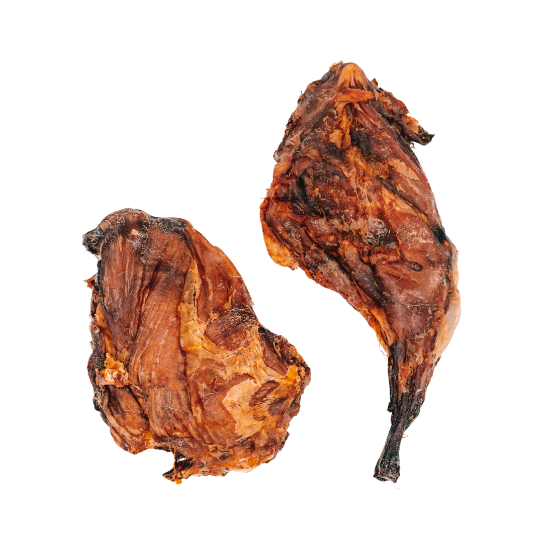 Dehydrated Rabbit Hind Leg
