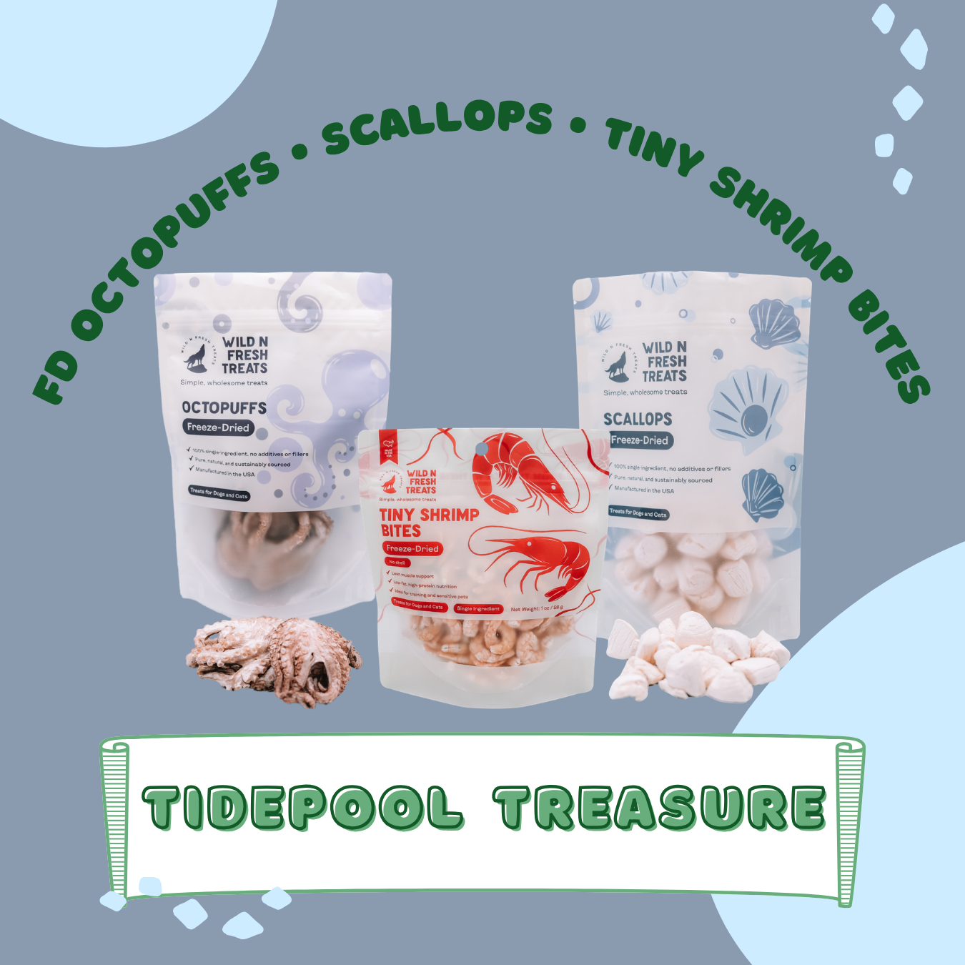 Tidepool Treasure Trio