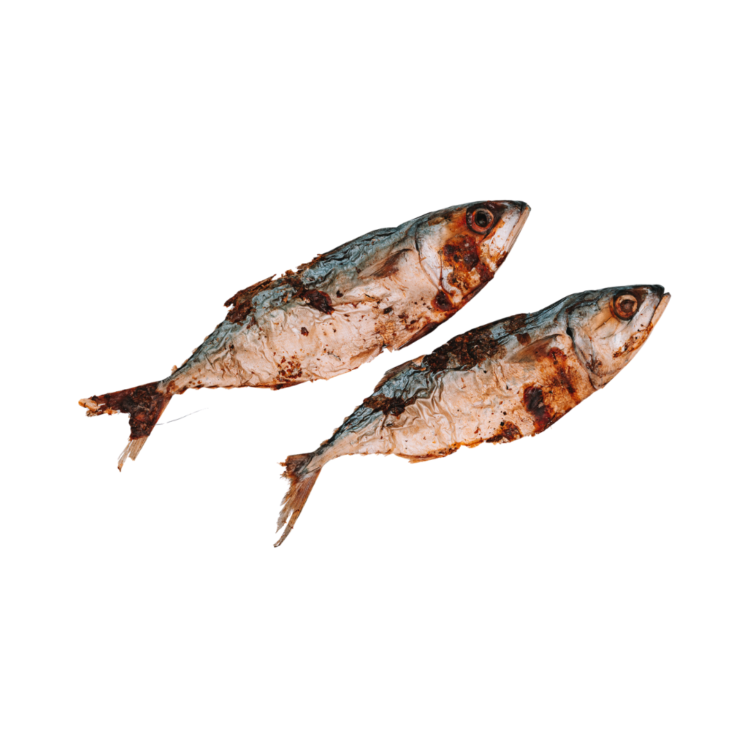 Dehydrated Whole Mackerels
