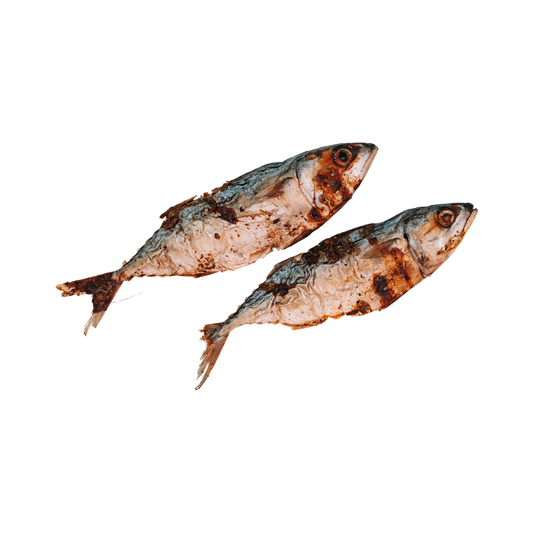 Dehydrated Whole Mackerels