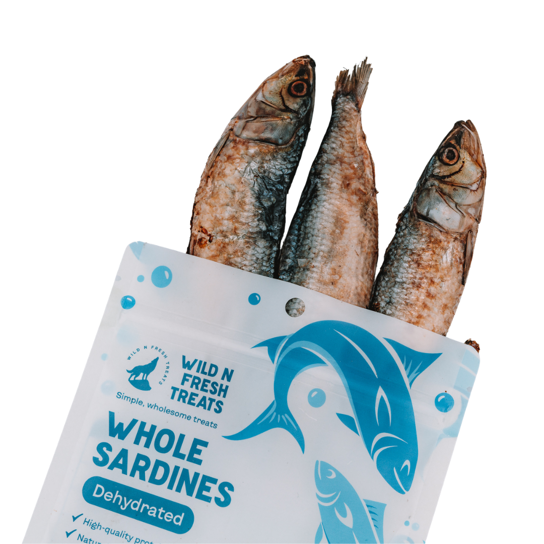 Dehydrated Whole Sardines (Wild Caught)