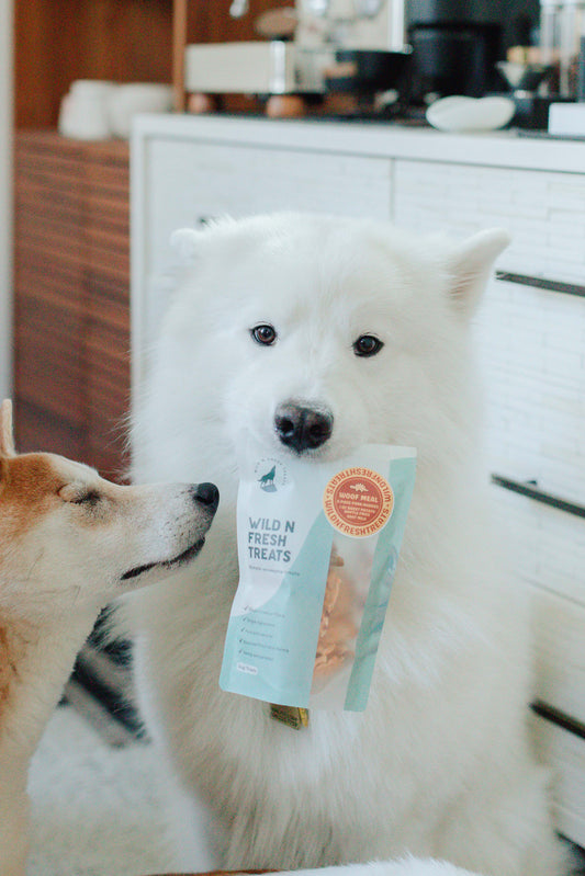 Woof Meal Fast Food Grab Bag