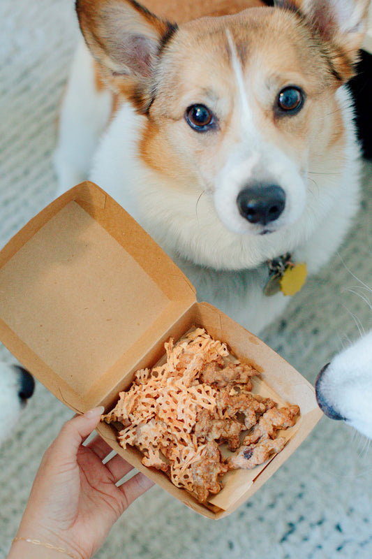 Woof Meal Fast Food Grab Bag