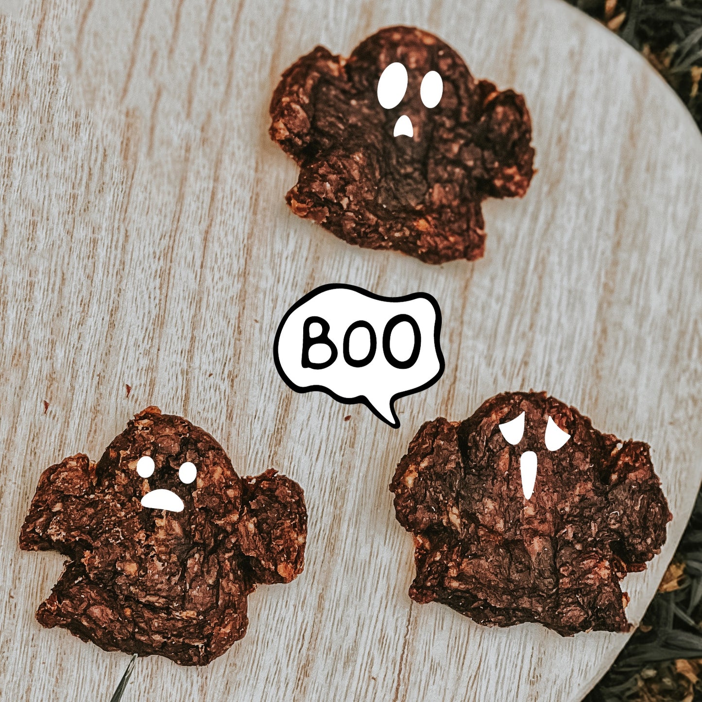 Dehydrated Spooky Bison Patties