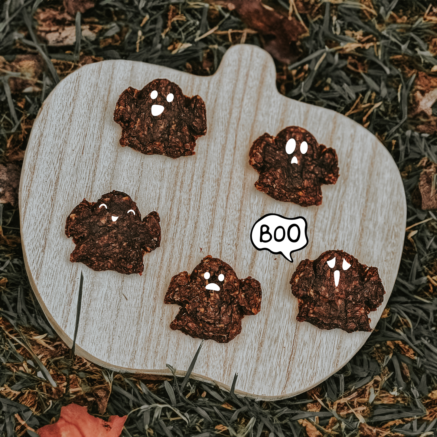 Dehydrated Spooky Bison Patties