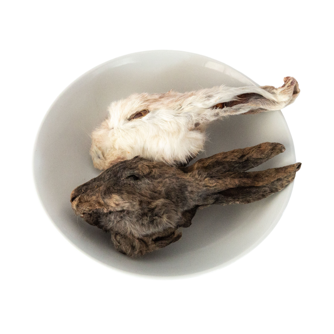 Dehydrated Rabbit Head – Wild n Fresh Treats