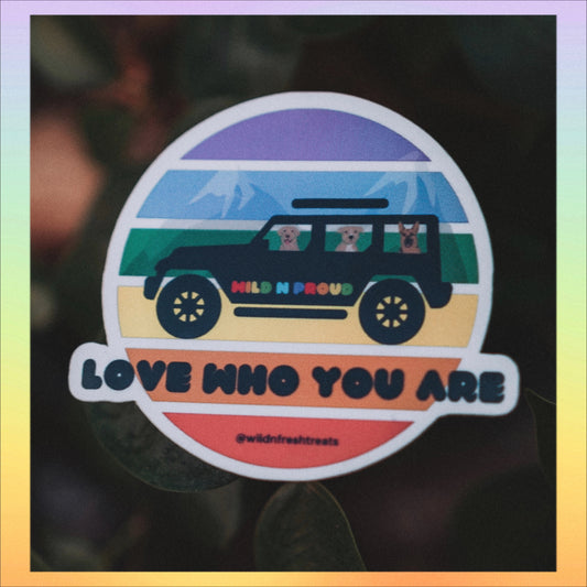 Wild n Proud Sticker + Pin Pack