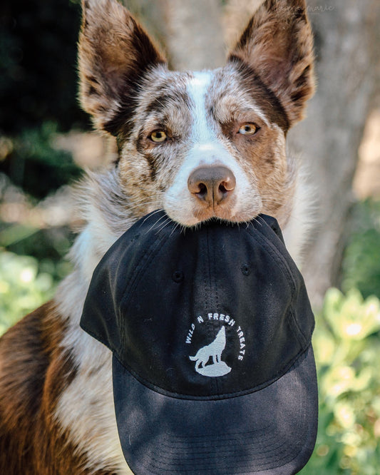 Wild n Fresh Treats Embroidered Logo Cap