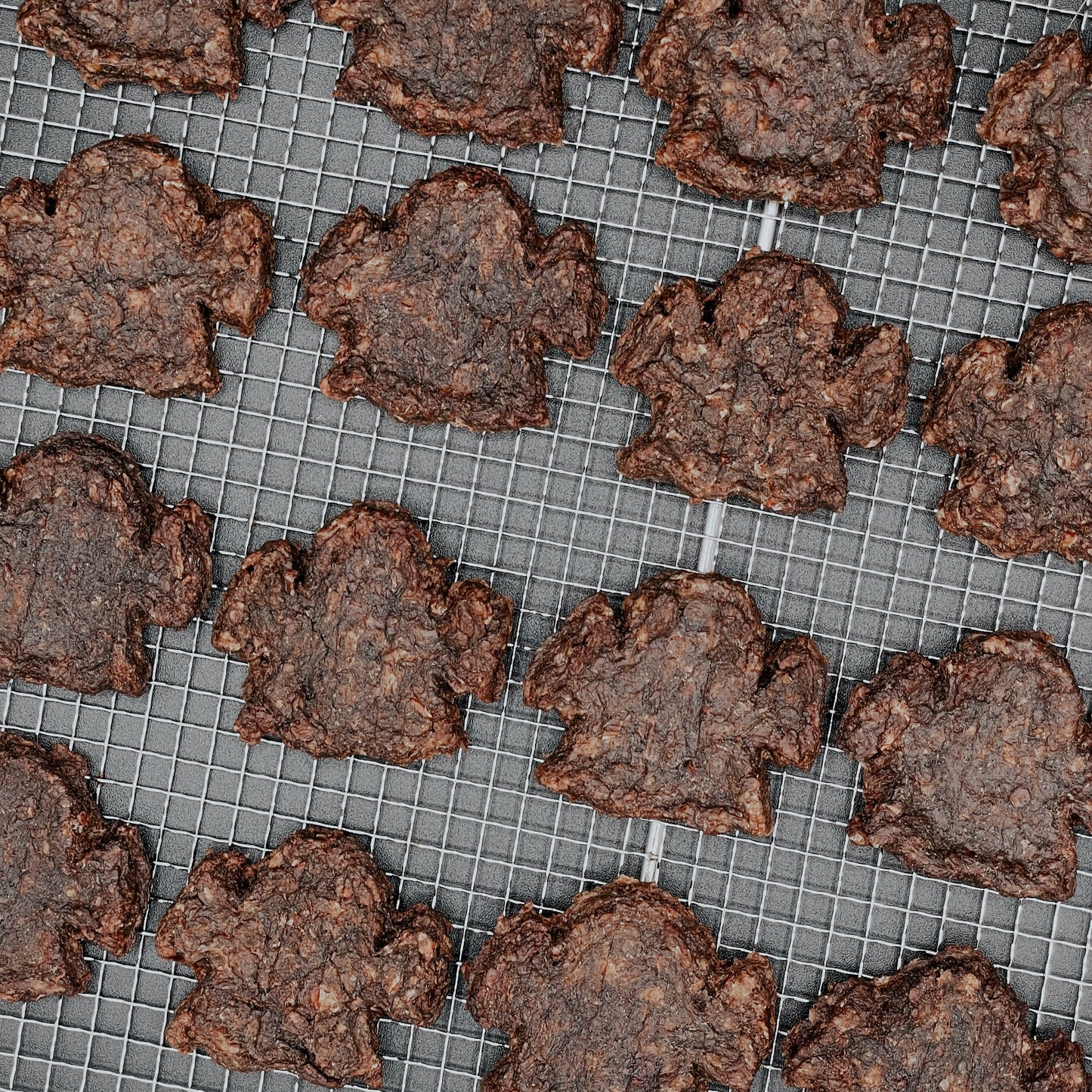 Dehydrated Spooky Bison Patties