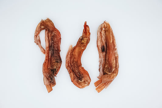 Dehydrated Bison Tendons