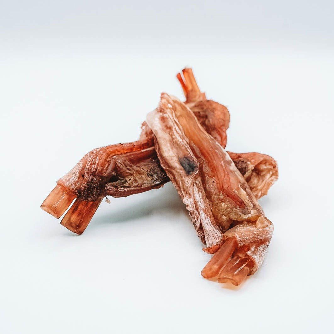 Dehydrated Bison Tendons
