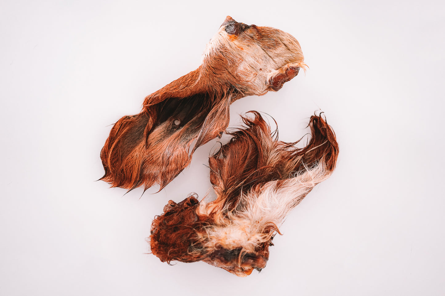 Dehydrated Beef Ears with Hair