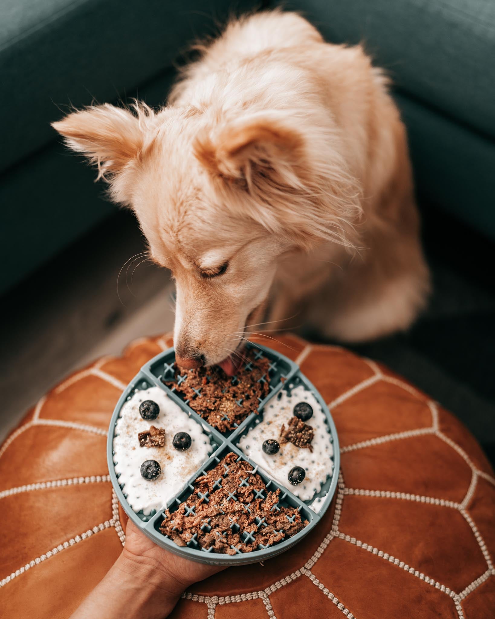 Grub Mat – Wild n Fresh Treats