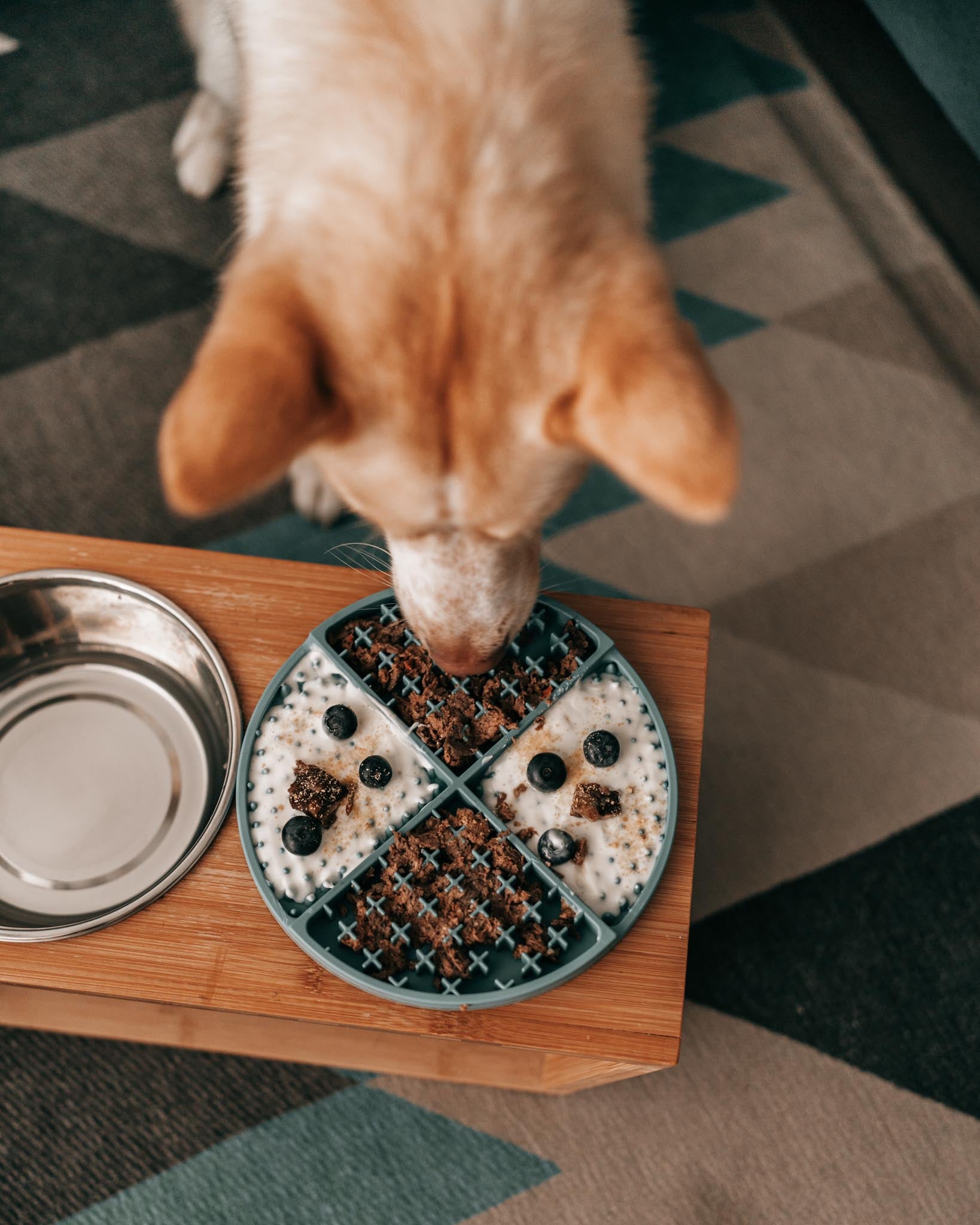 Everything you need to know about lick mats for dogs – Doggy Grub