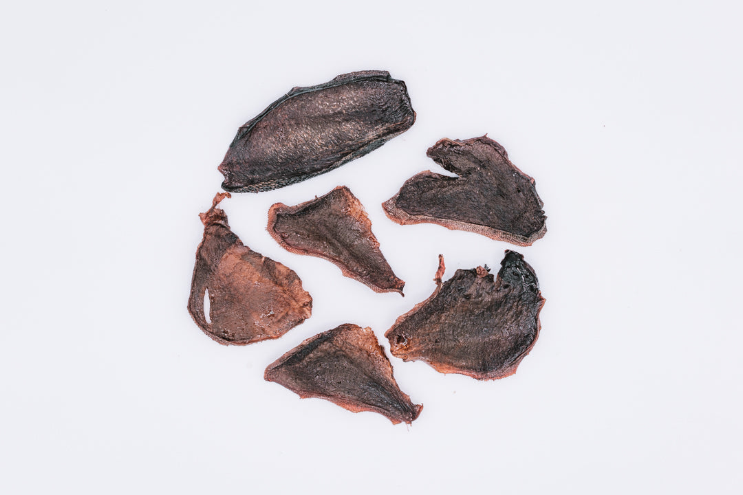 Dehydrated Bison Tongue