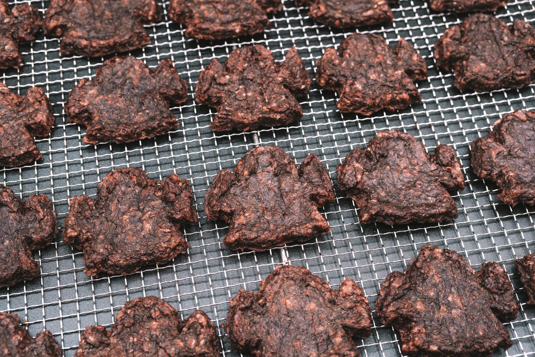 Dehydrated Spooky Bison Patties