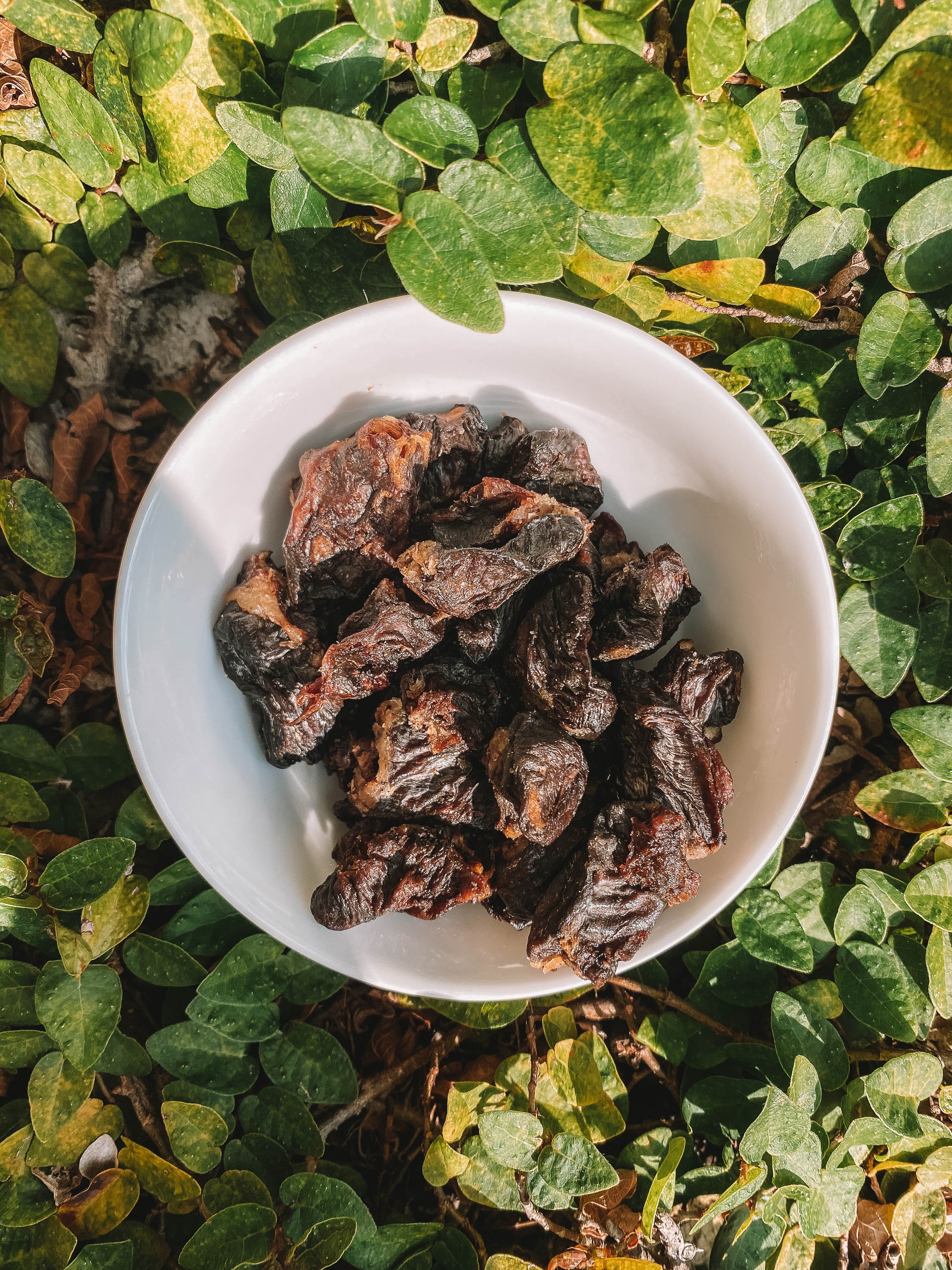 Dehydrated Chicken Hearts – Wild n Fresh Treats - Main Image