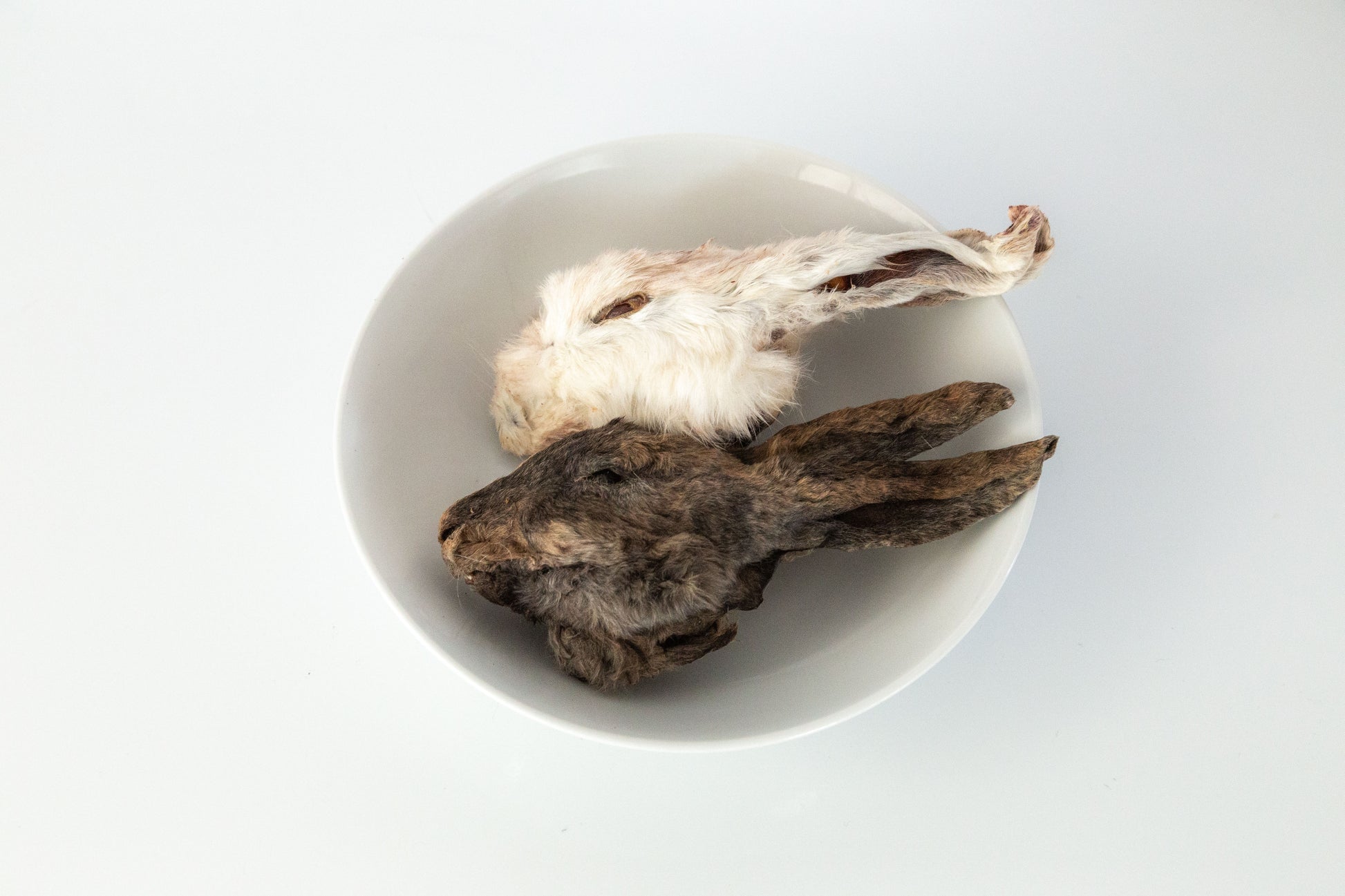 Eat Rabbit Head Dehydrated Rabbit Head – Wild n Fresh Treats