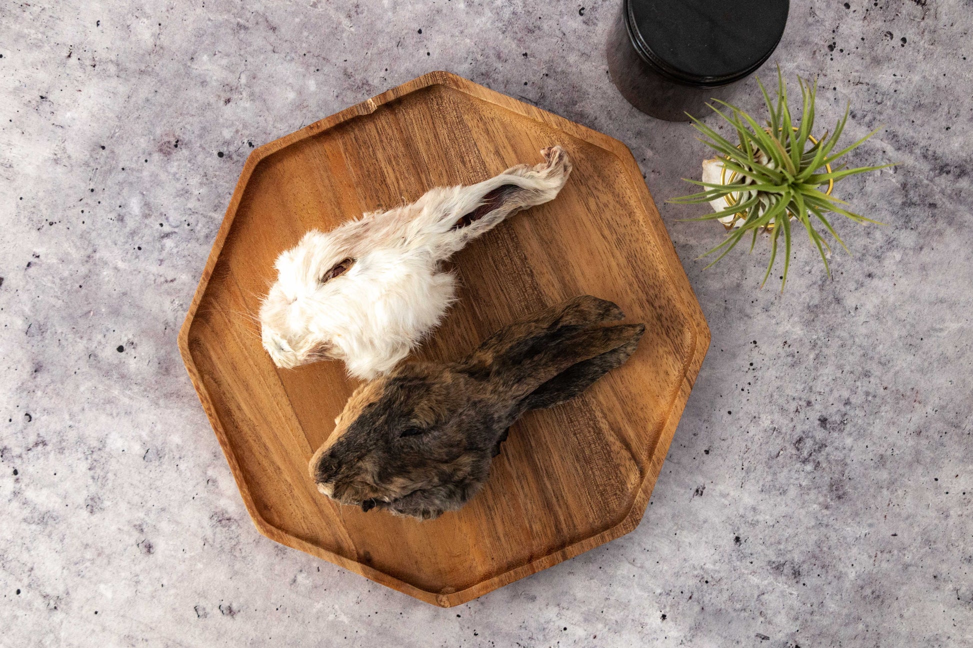 Dehydrated Rabbit Head – Wild n Fresh Treats