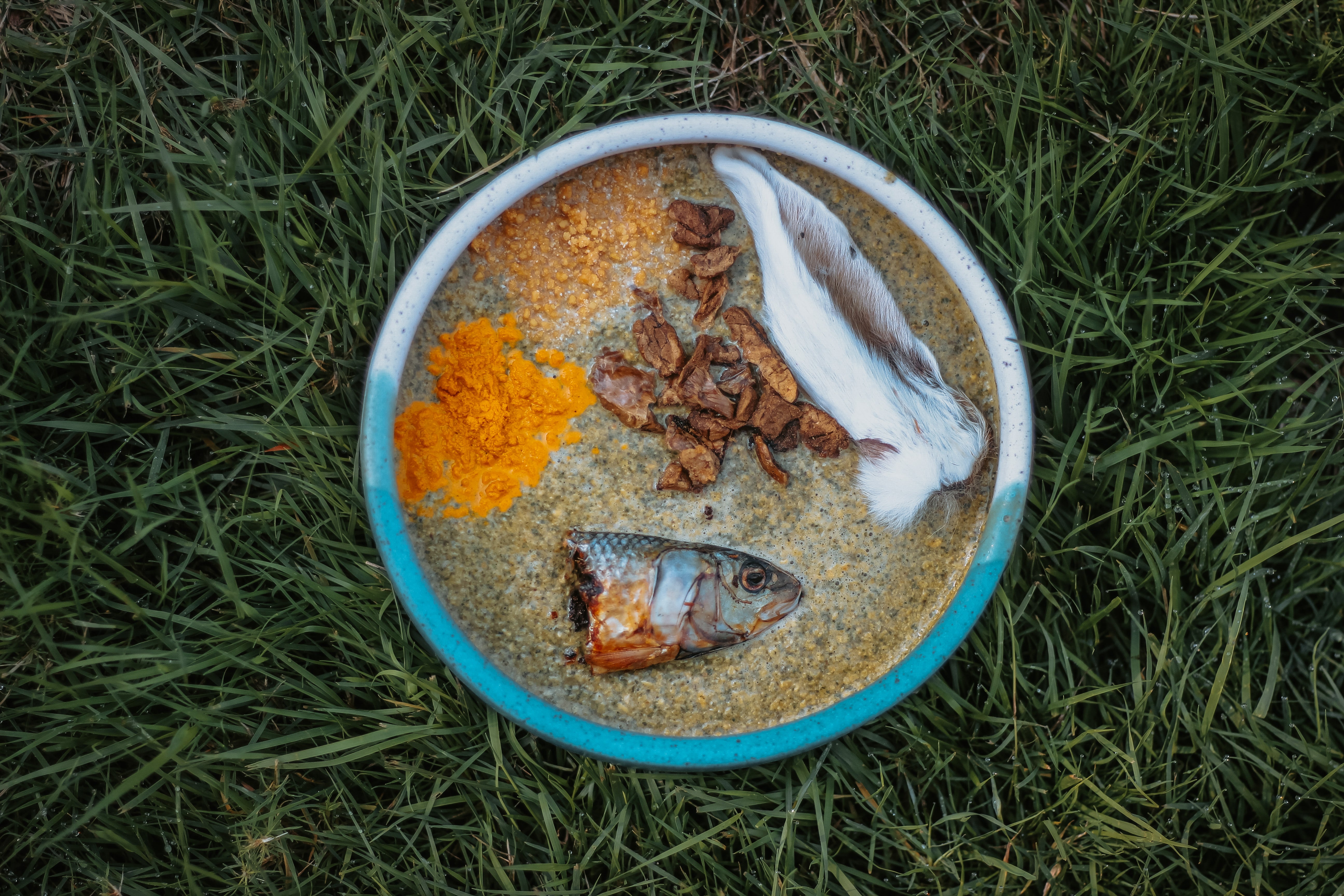 Dehydrated Rabbit Ears – Wild n Fresh Treats