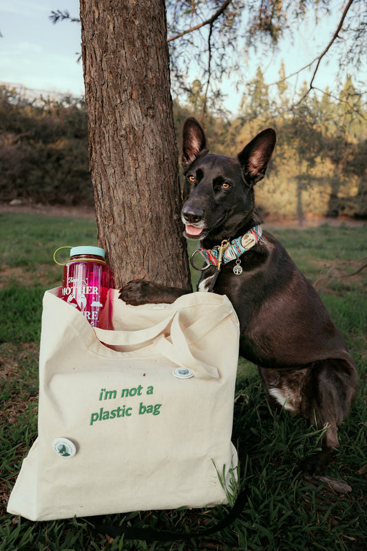 Not a Plastic Bag Tote (Litto Howler x Wild n Fresh Treats)