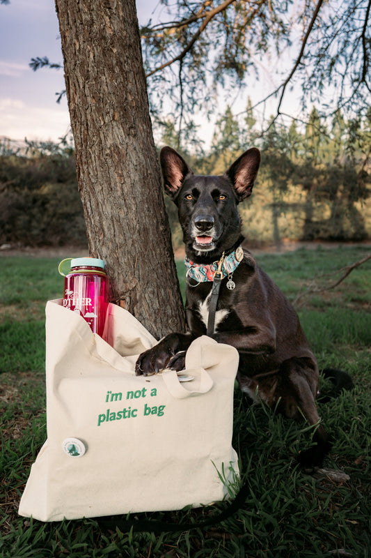 Not a Plastic Bag Tote (Litto Howler x Wild n Fresh Treats)